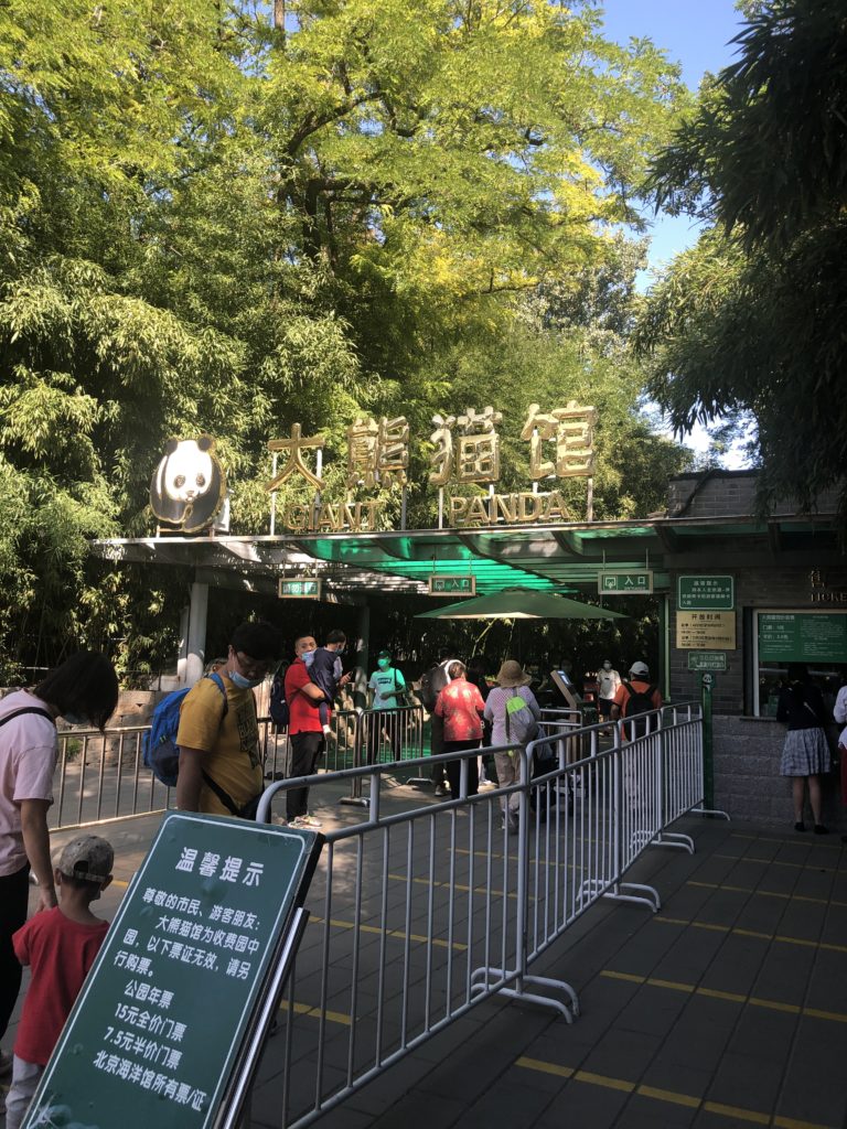 パンダを見に「北京動物園」へ行ってきた。